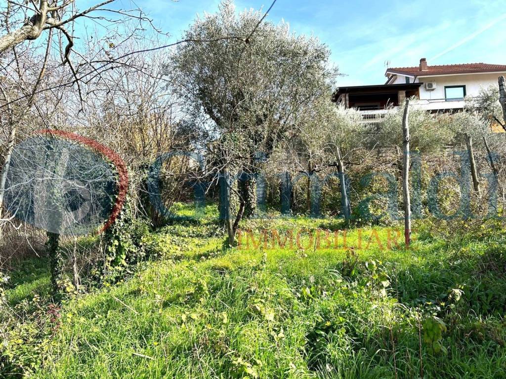 immagine annuncio 10 di 14