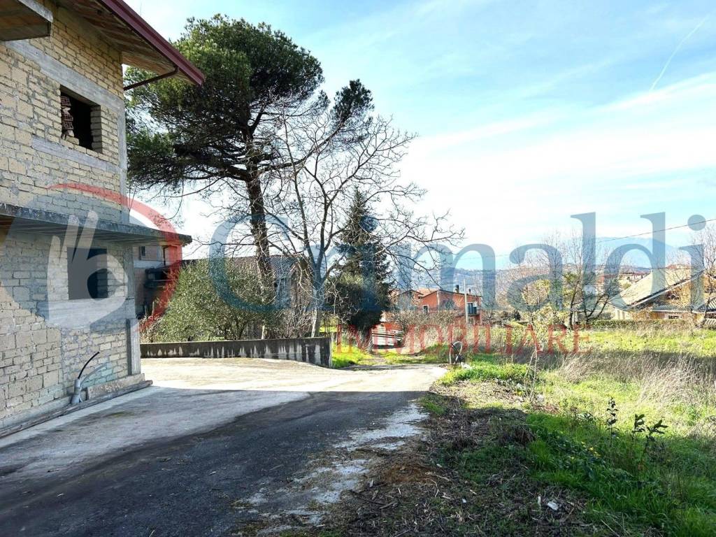 immagine annuncio 11 di 14