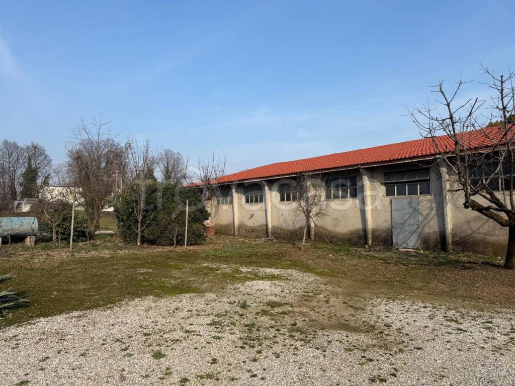 immagine annuncio 7 di 11