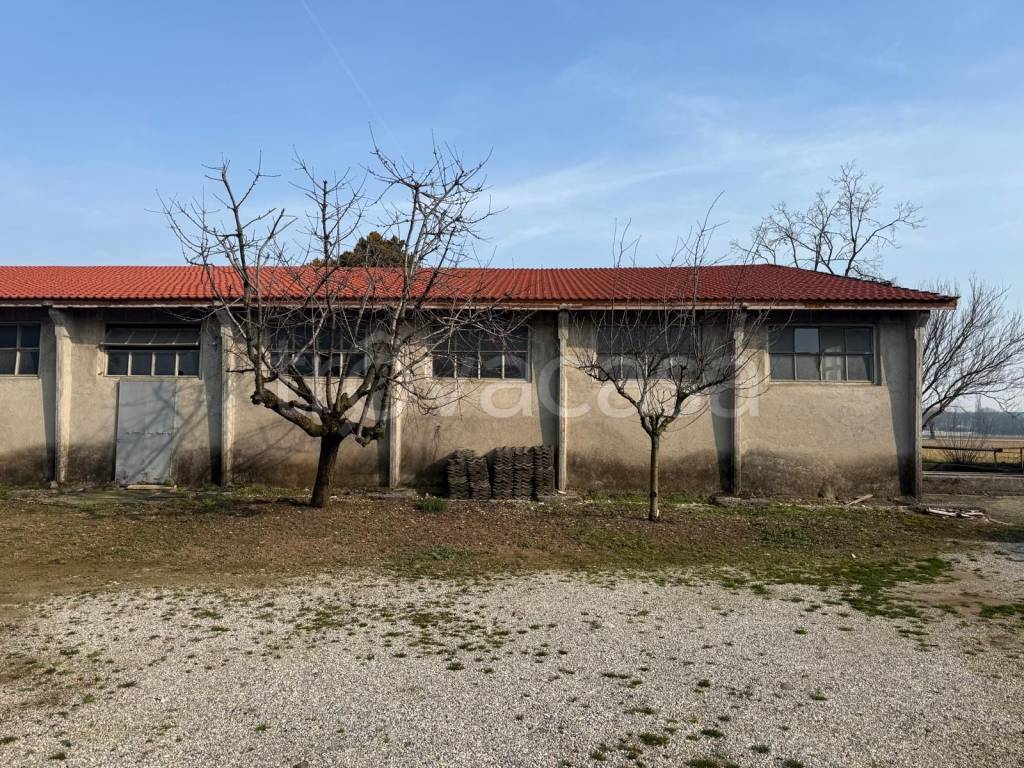 immagine annuncio 8 di 11