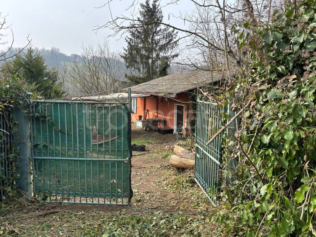 immagine annuncio 2 di 15