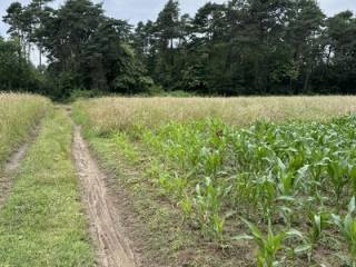 Terreno agricolo in vendita a mariano comense 