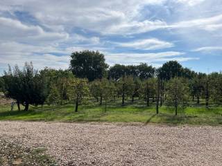 Terreno agricolo in vendita a cortona case sparse centoia, 167