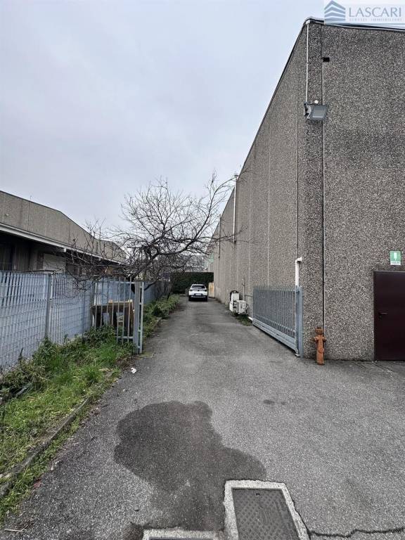 immagine annuncio 4 di 15