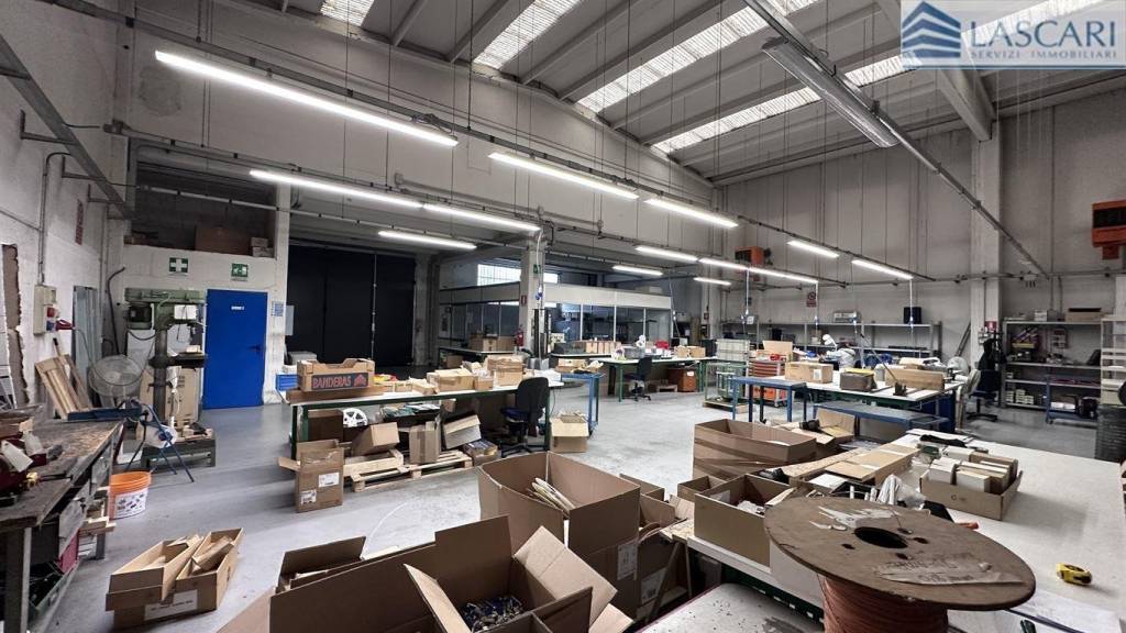 immagine annuncio 9 di 15