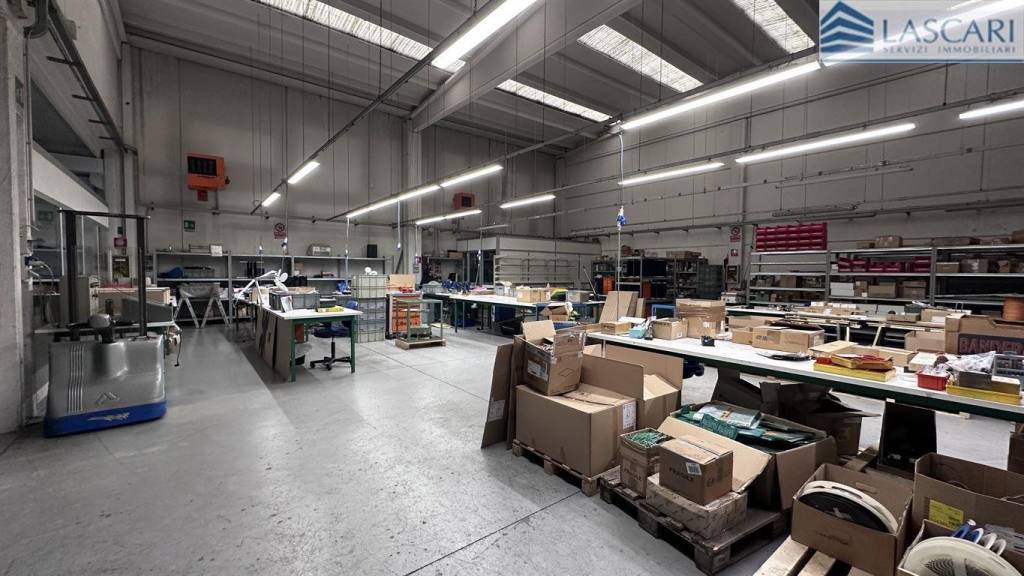 immagine annuncio 10 di 15