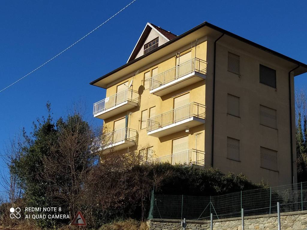 immagine annuncio 1 di 14