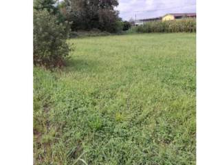 Terreno agricolo all'asta a san giorgio canavese frazione cortereggio