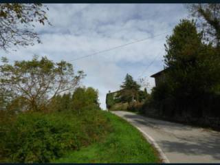 Terreno agricolo all'asta a prunetto sp212