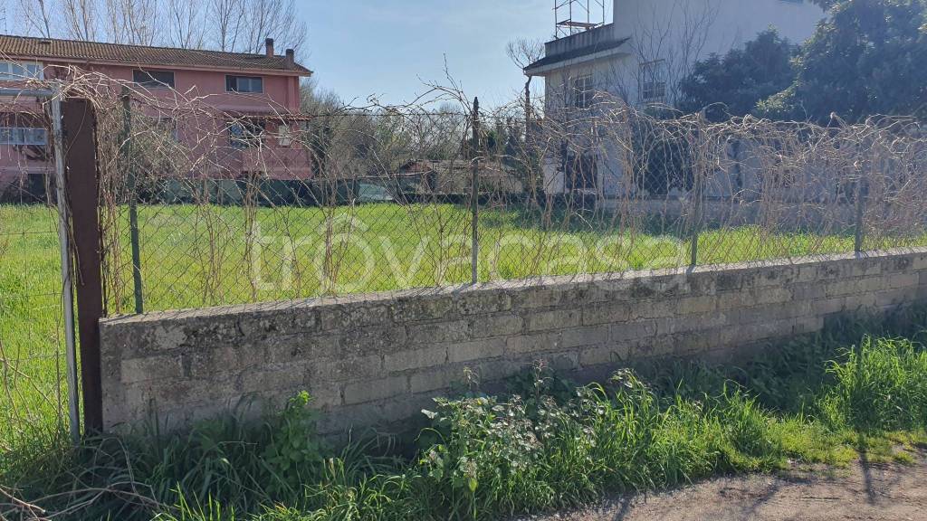 immagine annuncio 8 di 11