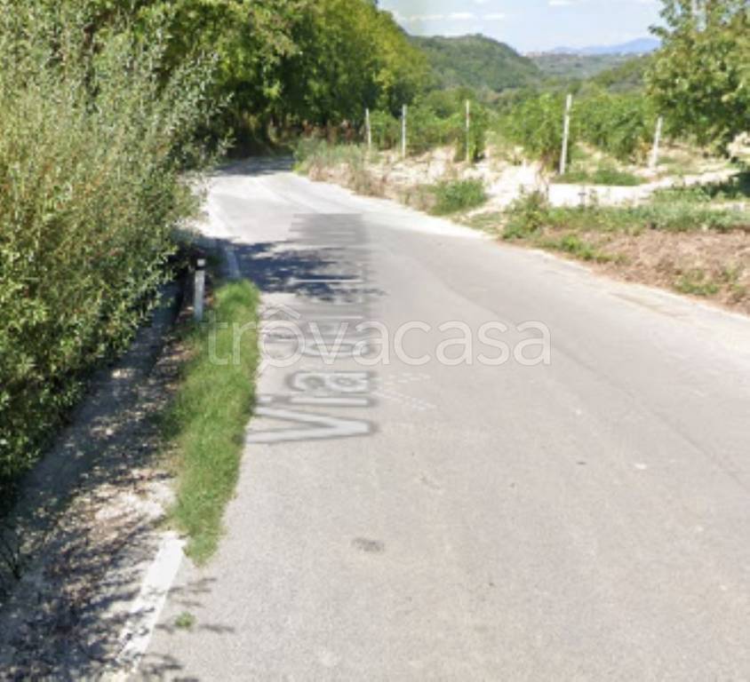 immagine annuncio 6 di 11