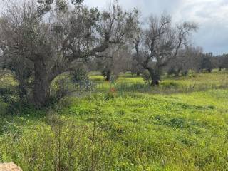 Terreno residenziale in vendita a carovigno 