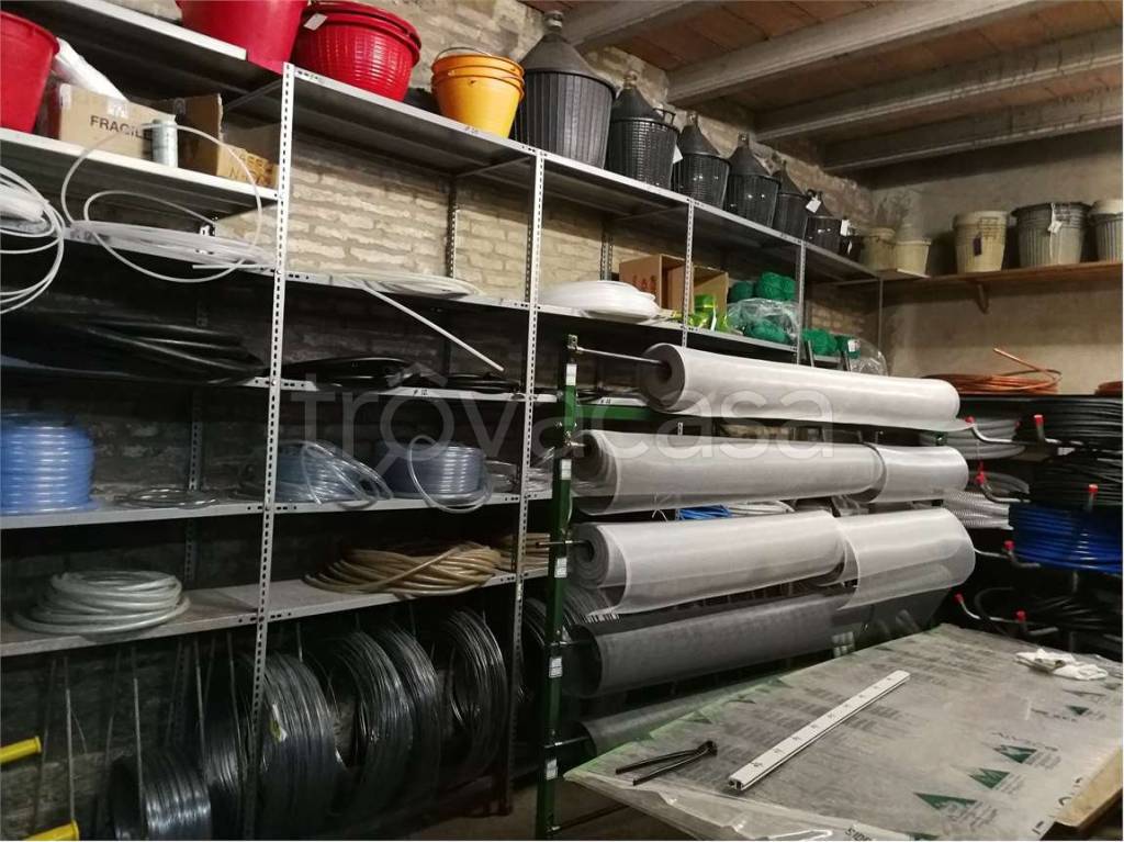 immagine annuncio 4 di 6
