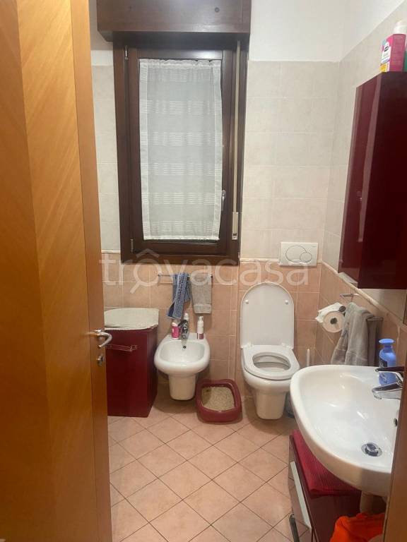 immagine annuncio 8 di 14
