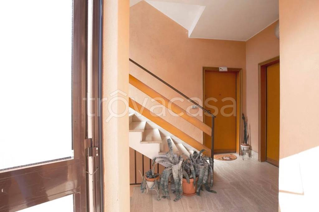 immagine annuncio 5 di 14