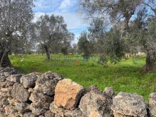 Terreno residenziale in vendita a san vito dei normanni 