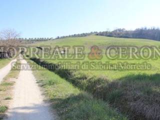 Terreno agricolo in vendita a castelfiorentino 