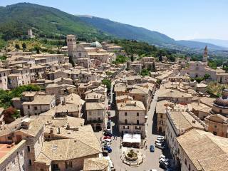 Articoli da regalo/casalinghi in affitto ad assisi 