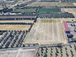 Terreno agricolo in vendita a san severo via lucera