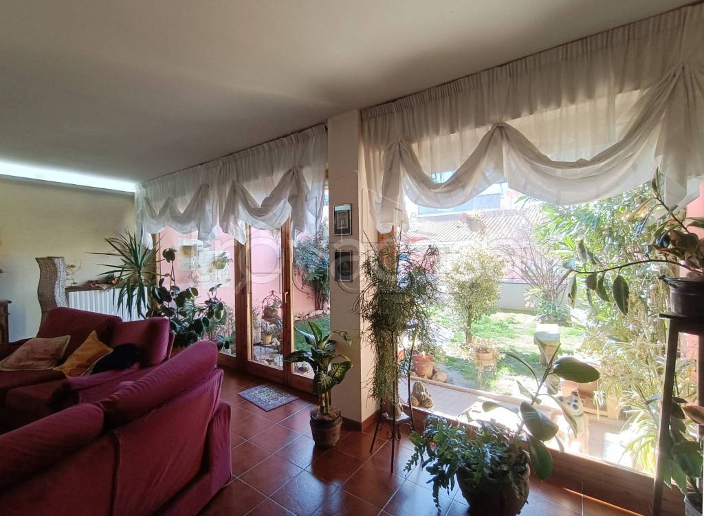 immagine annuncio 6 di 15