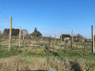 Terreno agricolo in vendita a imola 