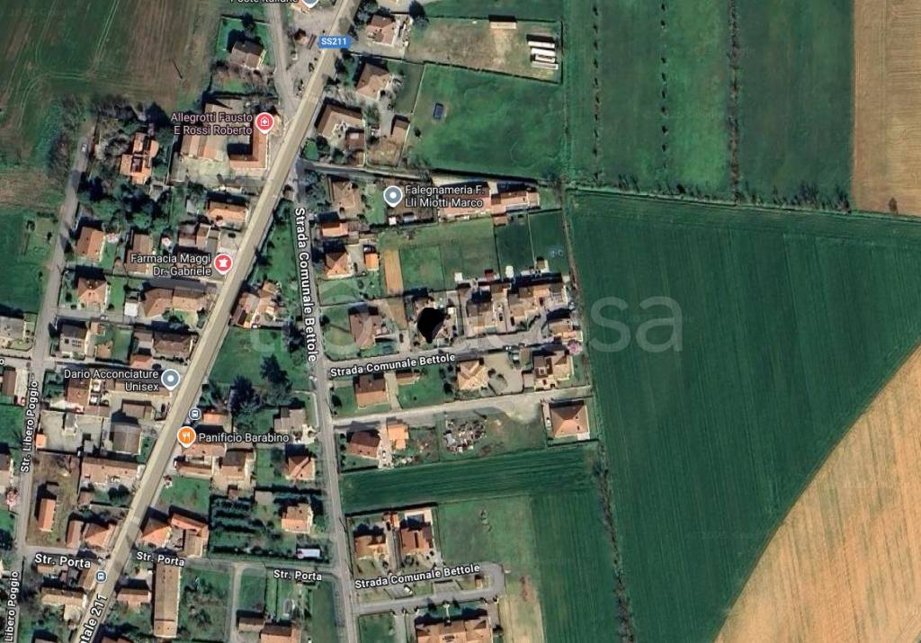immagine annuncio 1 di 15