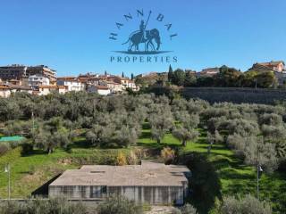 Terreno agricolo in vendita a tuoro sul trasimeno via fornelli s.n.c.