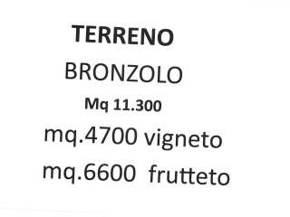 Terreno agricolo in vendita a bronzolo 