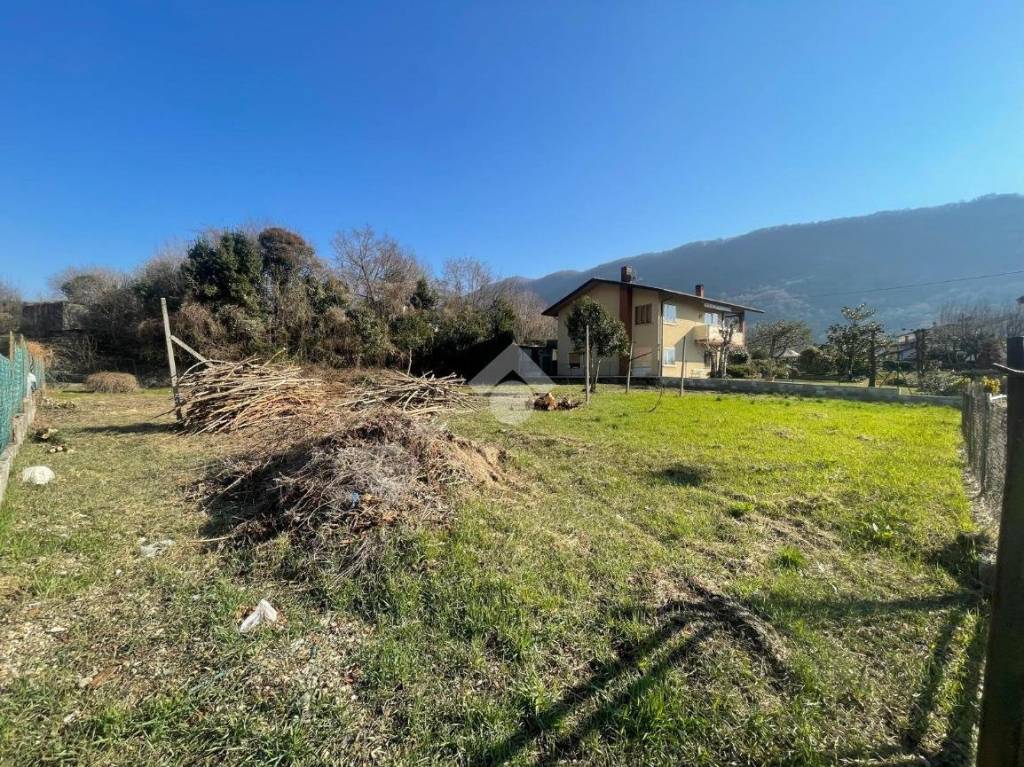 immagine annuncio 2 di 9