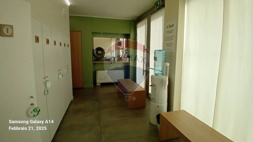 immagine annuncio 4 di 13