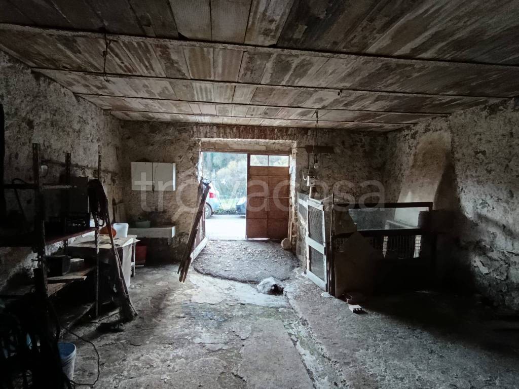 immagine annuncio 9 di 14