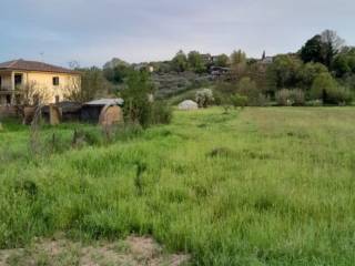 Terreno agricolo all'asta a ferentino via san rocco montecchie