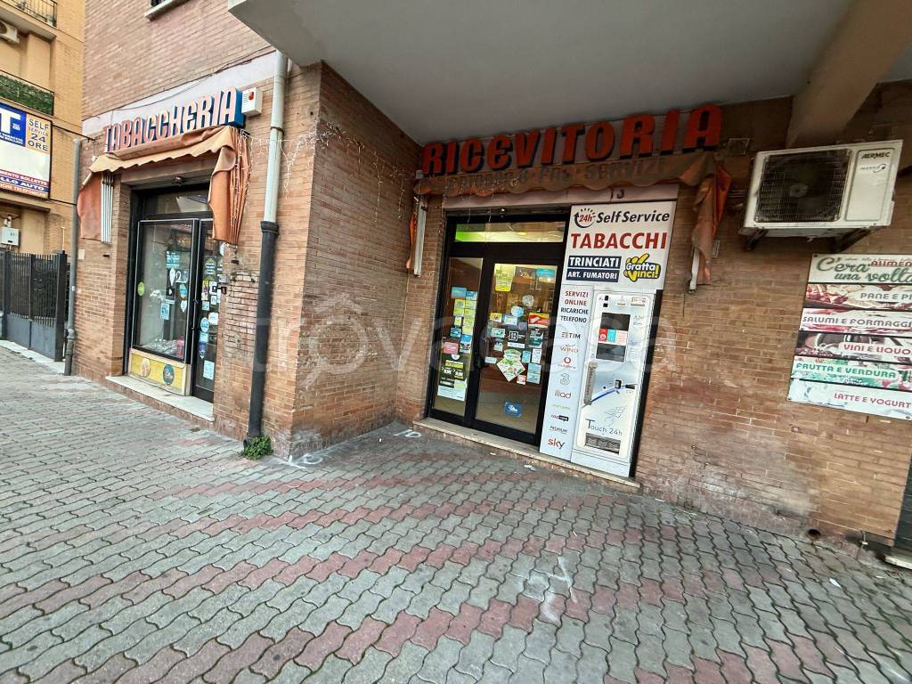 immagine annuncio 10 di 15