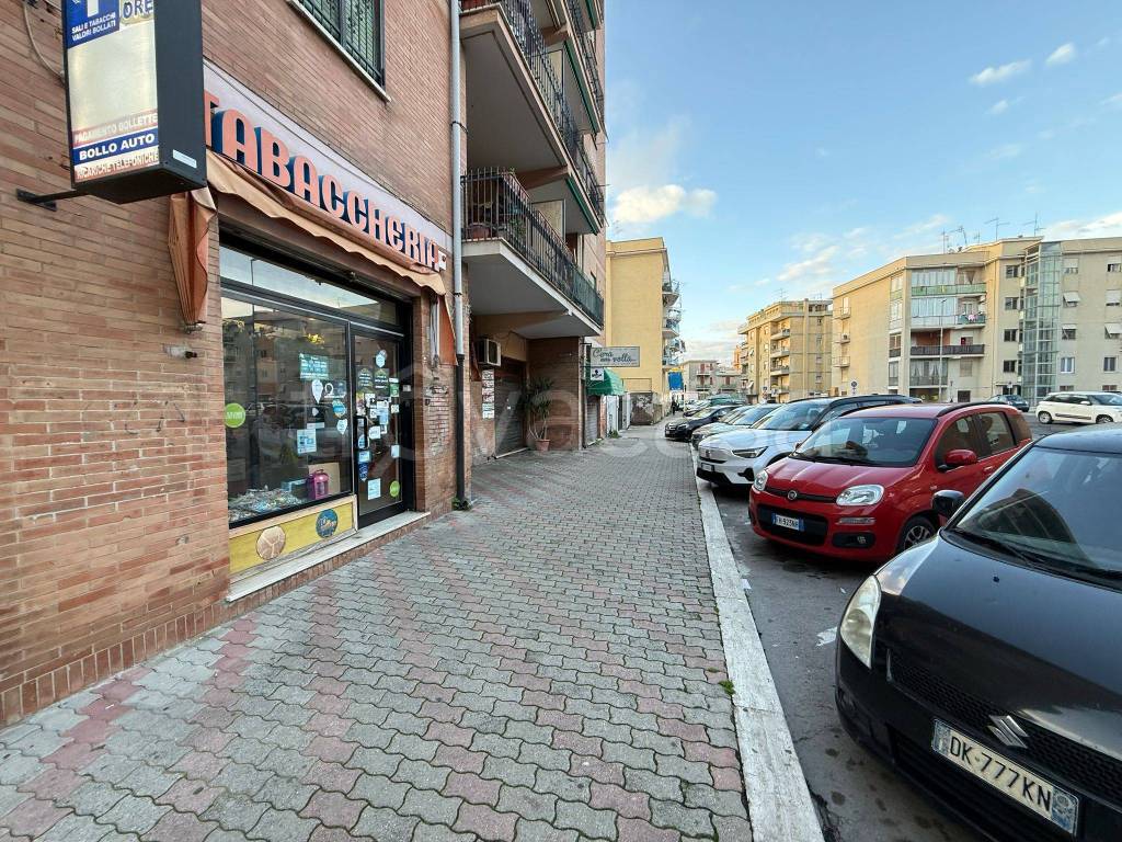 immagine annuncio 12 di 15