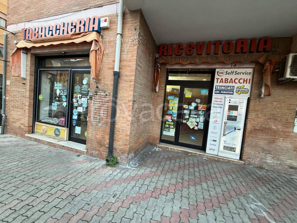 immagine annuncio 14 di 15