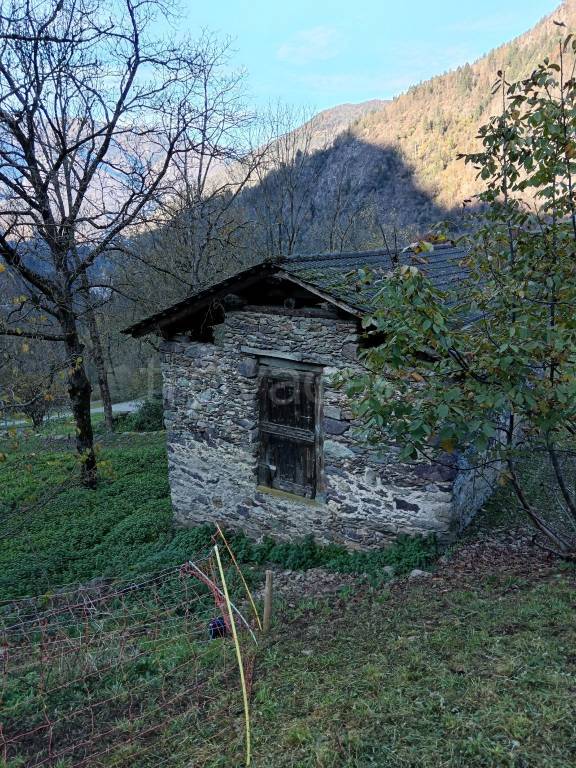 immagine annuncio 11 di 15