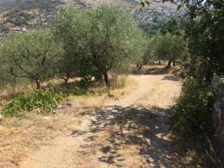 Terreno agricolo all'asta a terracina via del cimitero