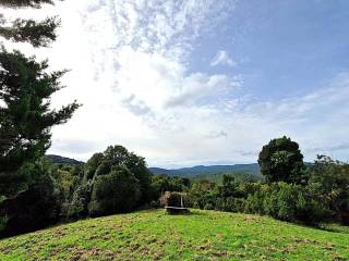 Terreno agricolo in vendita a rosignano marittimo via di montenero