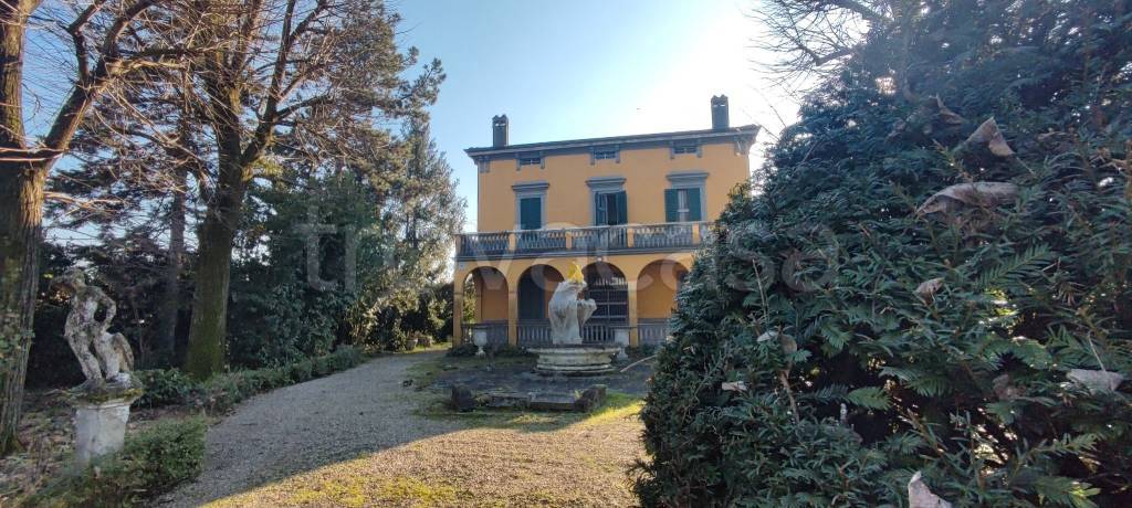 immagine annuncio 2 di 14