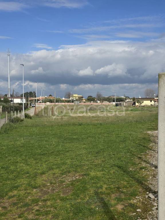 immagine annuncio 2 di 11