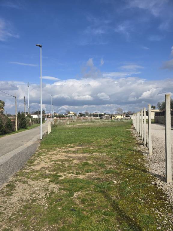 immagine annuncio 6 di 11