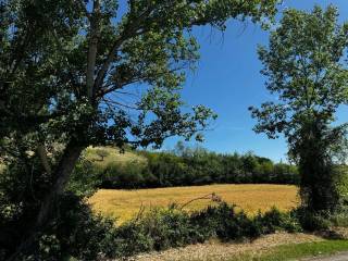 Terreno agricolo in vendita a pianella via cupello s.n.c.