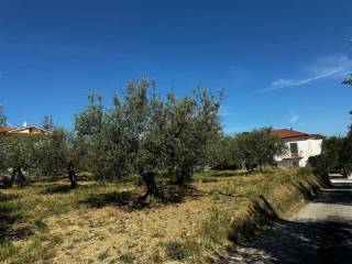 Terreno agricolo in vendita a pianella via aldo moro s.n.c.