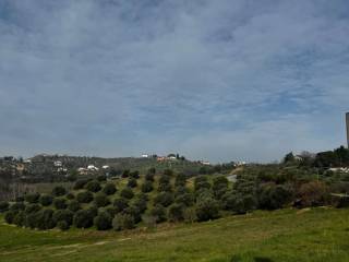 Terreno agricolo in vendita a spoltore via sangro s.n.c.