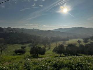 Terreno agricolo in vendita a spoltore via fonte grande s.n.c.