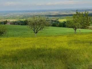 Terreno agricolo in vendita a gazzola 