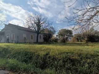 Terreno agricolo in vendita a catignano contrada le plaie s.n.c.