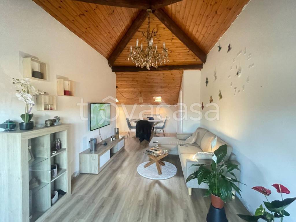 immagine annuncio 4 di 14