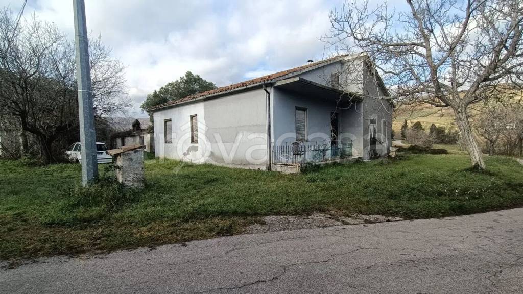 immagine annuncio 2 di 9