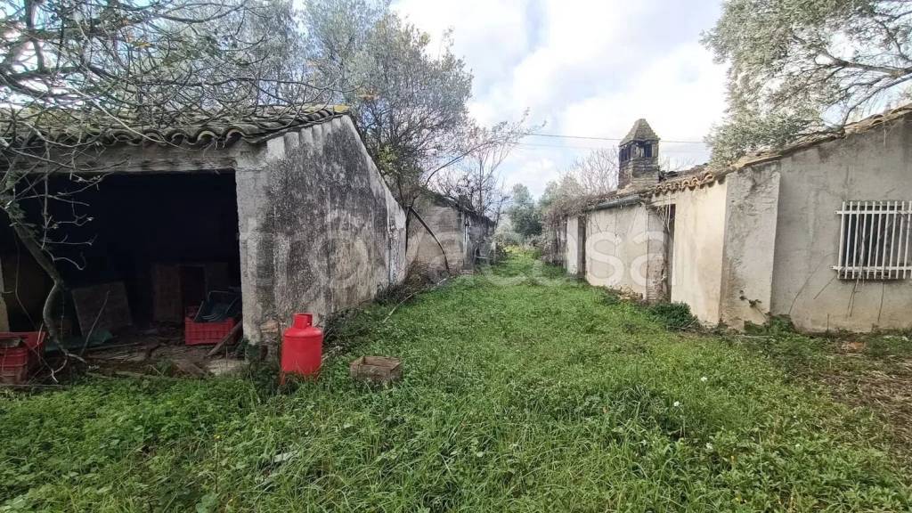 immagine annuncio 3 di 9
